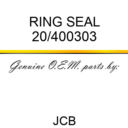 RING SEAL 20/400303