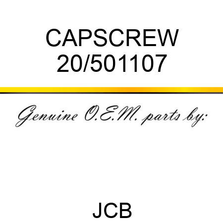 CAPSCREW 20/501107