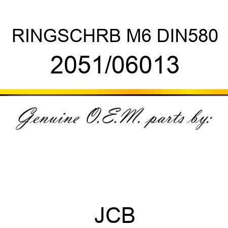 RINGSCHRB M6 DIN580 2051/06013