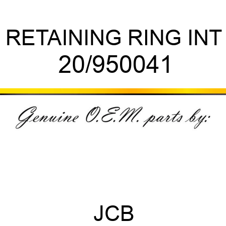 RETAINING RING INT 20/950041