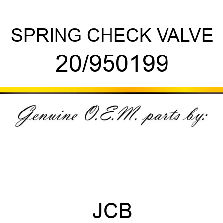 SPRING CHECK VALVE 20/950199