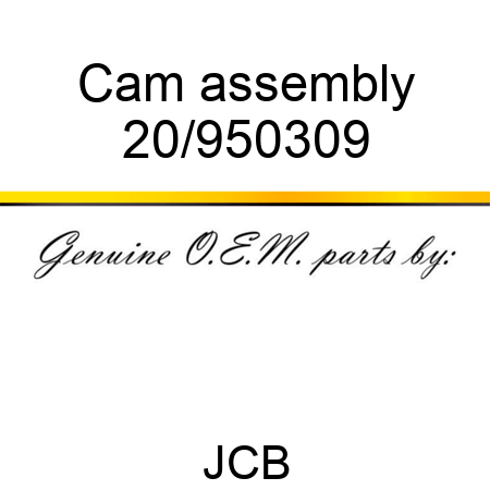 Cam assembly 20/950309