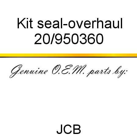 Kit, seal-overhaul 20/950360