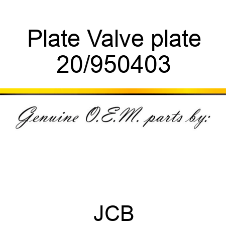 Plate Valve plate 20/950403