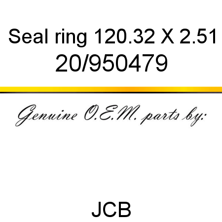 Seal, ring, 120.32 X 2.51 20/950479