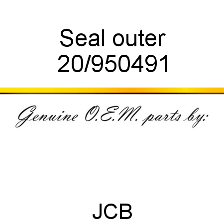 Seal, outer 20/950491