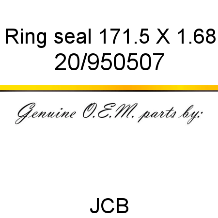 Ring, seal, 171.5 X 1.68 20/950507