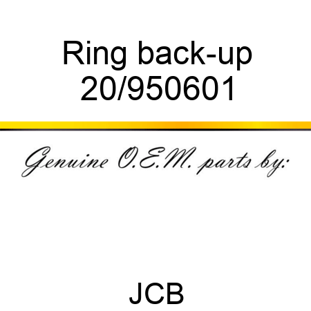 Ring back-up 20/950601