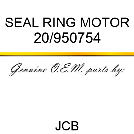 SEAL RING MOTOR 20/950754