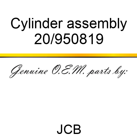 Cylinder assembly 20/950819