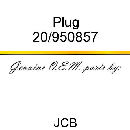 Plug 20/950857