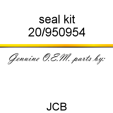 seal kit 20/950954