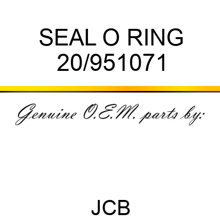SEAL O RING 20/951071
