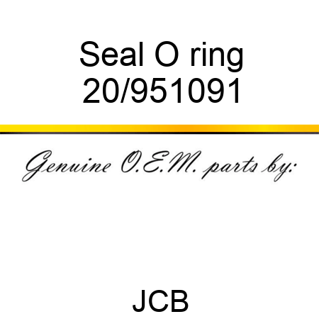Seal O ring 20/951091