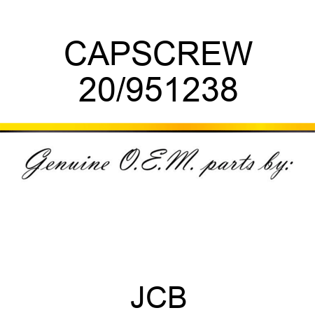 CAPSCREW 20/951238