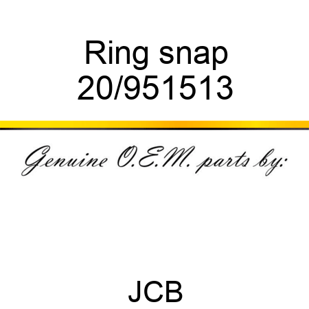 Ring snap 20/951513