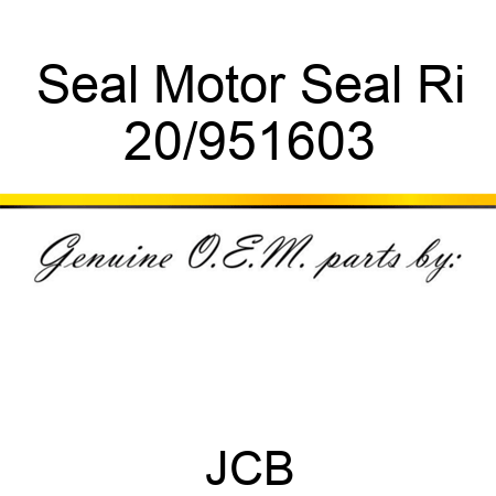 Seal Motor Seal Ri 20/951603