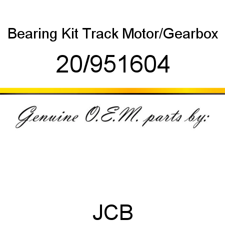 Bearing Kit, Track Motor/Gearbox 20/951604