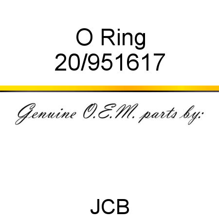 O Ring 20/951617