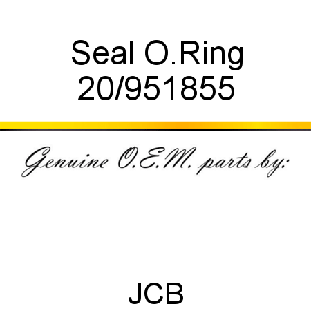 Seal, O.Ring 20/951855