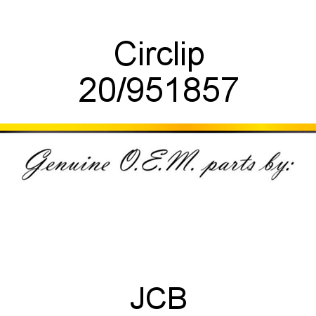 Circlip 20/951857