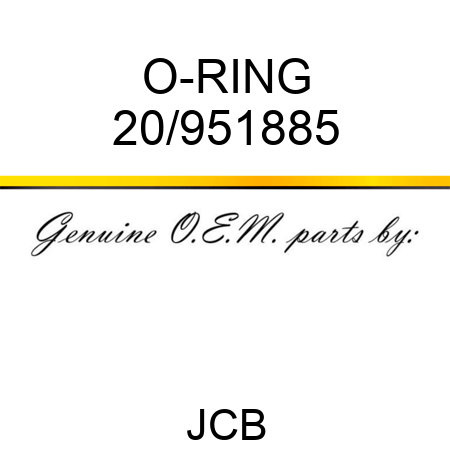 O-RING 20/951885