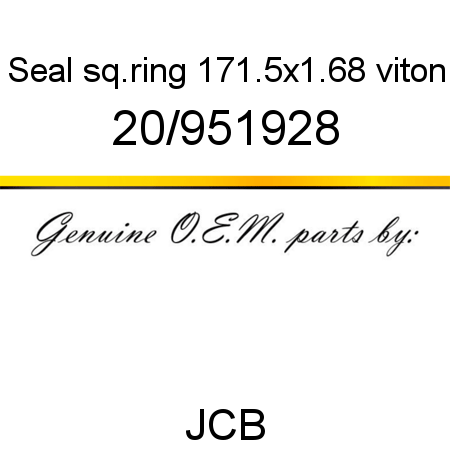 Seal, sq.ring 171.5x1.68, viton 20/951928