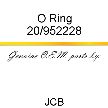 O Ring 20/952228