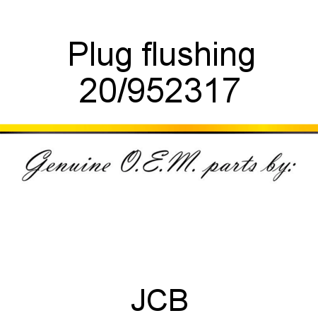 Plug, flushing 20/952317