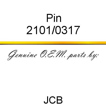 Pin 2101/0317