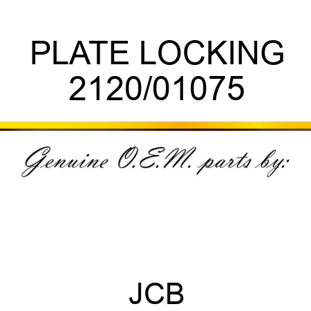 PLATE, LOCKING 2120/01075