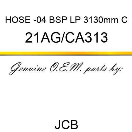 HOSE -04 BSP LP 3130mm C 21AG/CA313