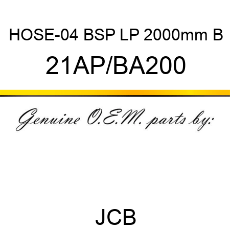 HOSE-04 BSP LP 2000mm B 21AP/BA200