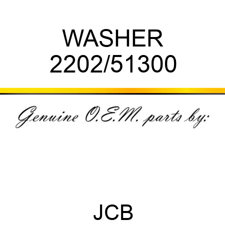 WASHER 2202/51300