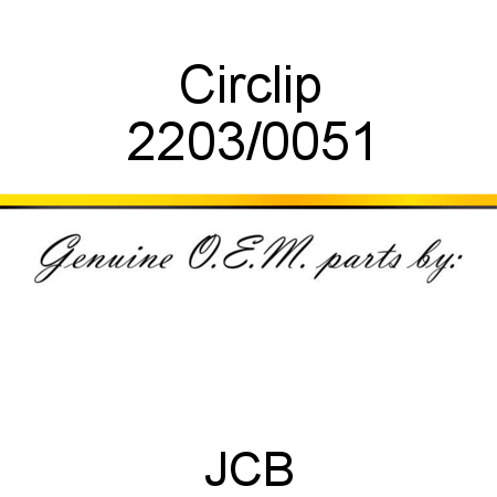 Circlip 2203/0051