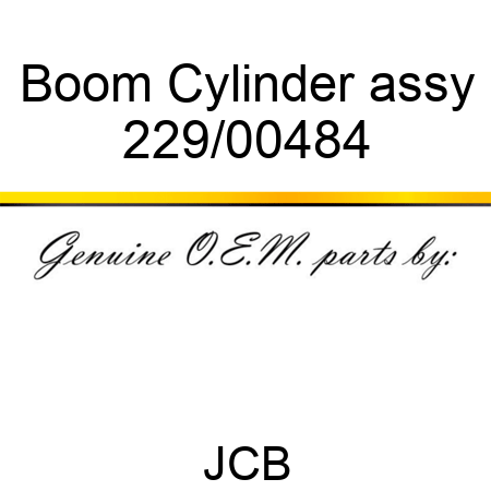 Boom Cylinder assy 229/00484