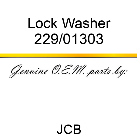 Lock Washer 229/01303