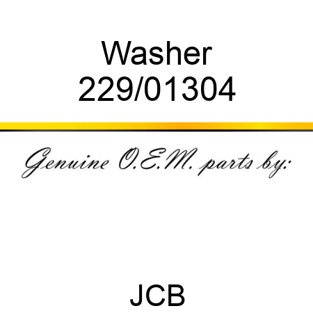 Washer 229/01304