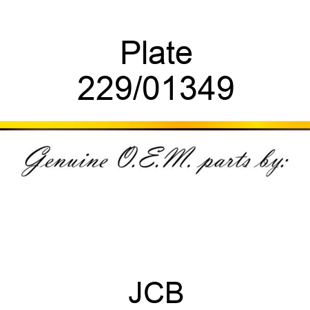 Plate 229/01349