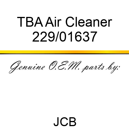 TBA Air Cleaner 229/01637