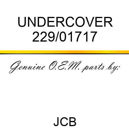 UNDERCOVER 229/01717