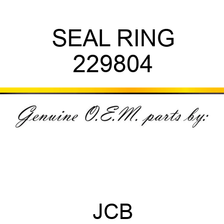 SEAL RING 229804