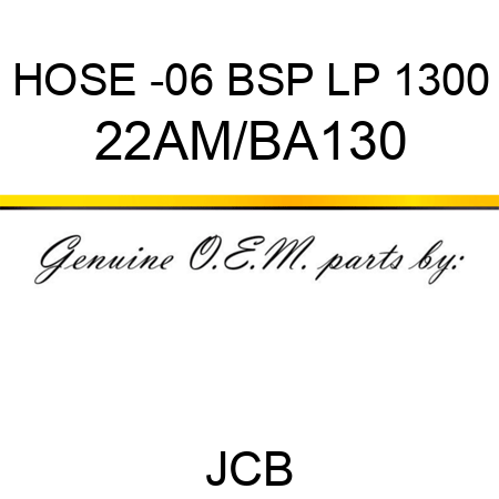 HOSE -06 BSP LP 1300 22AM/BA130