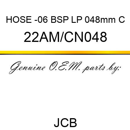 HOSE -06 BSP LP 048mm C 22AM/CN048