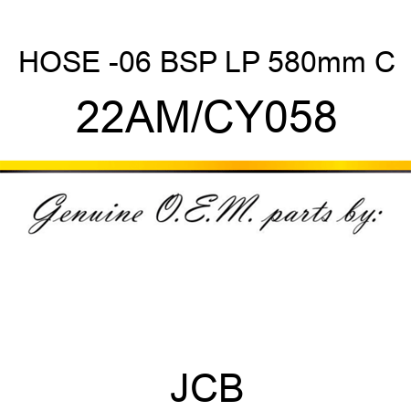 HOSE -06 BSP LP 580mm C 22AM/CY058