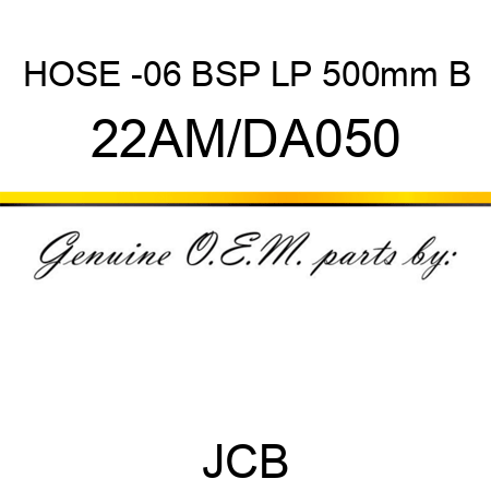 HOSE -06 BSP LP 500mm B 22AM/DA050