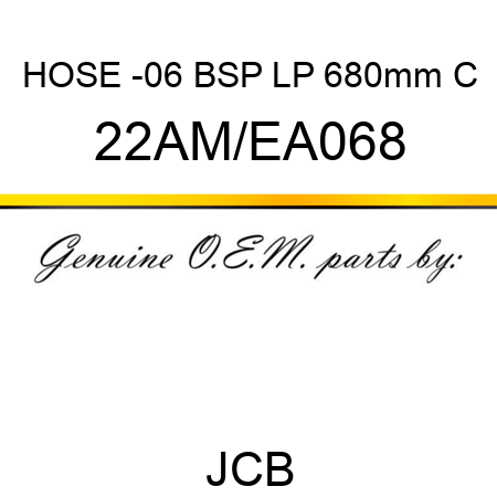 HOSE -06 BSP LP 680mm C 22AM/EA068