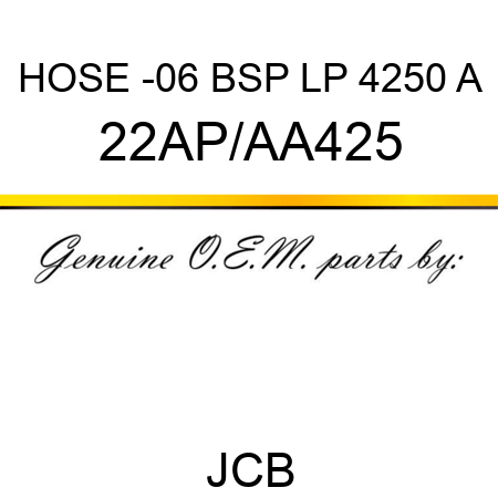 HOSE -06 BSP LP 4250 A 22AP/AA425
