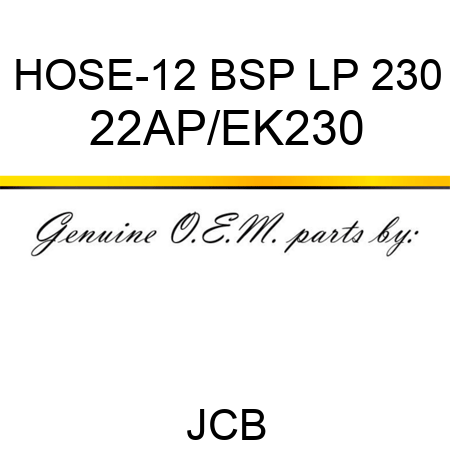 HOSE-12 BSP LP 230 22AP/EK230
