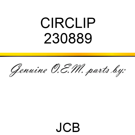 CIRCLIP 230889
